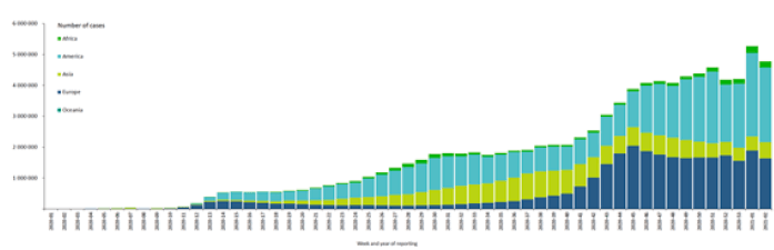 Figura 1. Distribución de casos confirmados por COVID-19 hasta enero 2021 (2).