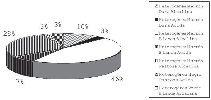 Figura 2. Distribución porcentual de las características macroscópicas provenientes de resultados positivos para norovirus