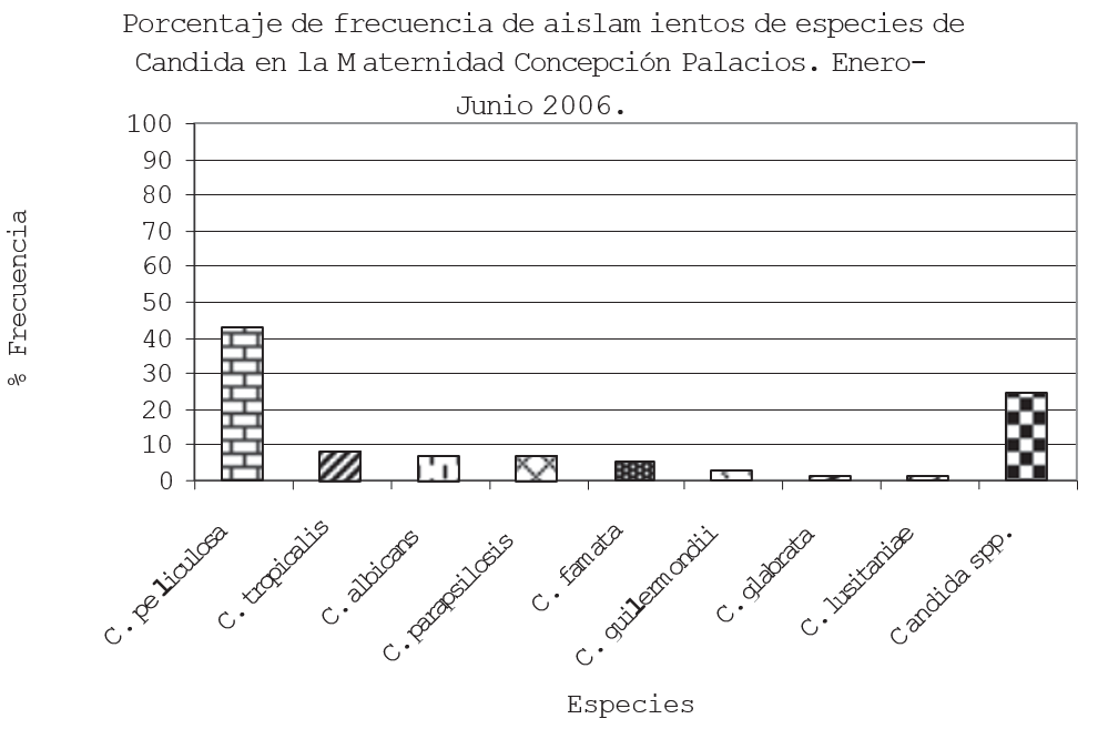 Gráfico 1. Frecuencia de las especies de Candida no albicans halladas en la Maternidad “Concepción Palacios” en el primer semestre del año 2006.
