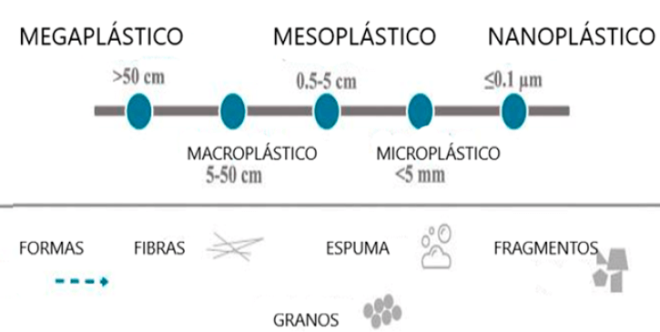 Figura 1. Clasificación del plástico y formas que pueden adoptar. Fuente: Hirt y Body-Malapel, 2020 (3).
