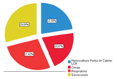 Figura 1. Distribución de aislados de P. aeruginosa según tipos de muestras en el Hospital Vargas de Caracas durante el periodo Junio de 2020 a Julio de 2021.