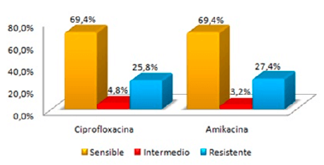 Figura 5. Distribución de perfiles de susceptibilidad a ciprofloxacina y amikacina de los 62 aislados de P. aeruginosa del Hospital Vargas de Caracas.