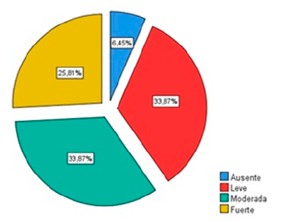 Figura 6. Clasificación de la formación de biopelículas en aislados de P. aeruginosa durante el periodo de Junio de 2020 a Julio de 2021.