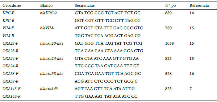 Tabla 1. Oligonucleótidos utilizados para la amplificación y secuenciación de los genes que codifican para las principales betalactamasas que hidrolizan carbapenémicos.