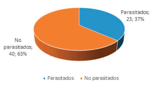 Figura 1: Prevalencia de Enterobiasis en 63 niños de edad prescolar de dos Instituciones Educativas de Santa Lucía, Estado Miranda, de los Valles del Tuy