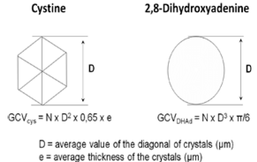 N = número de cristales / mm3 Figura 35. Fórmulas propuestas para el cálculo del volumen cristalino global de cristales de cistina y 2,8-dihidroxiadenina en la orina. Fuente: Michel Daudon, Vincent Frochot, Dominique Bazin, Paul Jungers. Crystalluria analysis improves significantly etiologic diagnosis and therapeutic monitoring of nephrolithiasis. Comptes Rendus Chimie. 2016; 19 (11–12): 1514-1526.