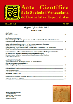 Volumen 28
